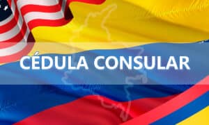 Obtén tu cédula consular: guía completa y requisitos esenciales