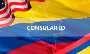 Get Your Consular ID: Complete Guide and Essential Requirements