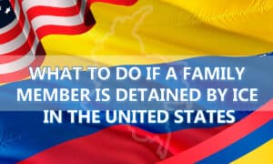 What to Do if a Family Member Is Detained by ICE in the United States (2025 Guide)